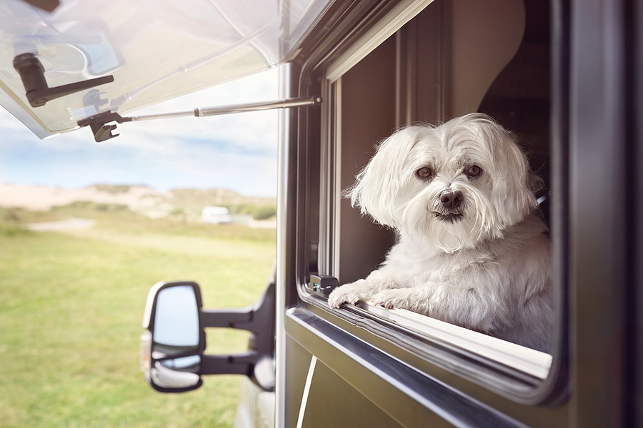 RV Rentals and Service